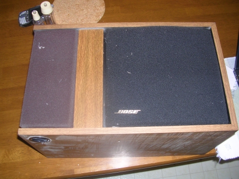 Bose 301