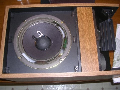 Bose 301 Series I