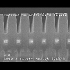 9801082-06.JPG