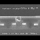 dc31.jpg